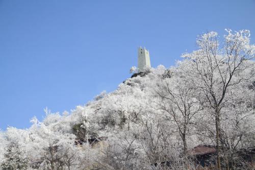 老婆微信聊天记录同步接收_网上怎么查个人开的房记录